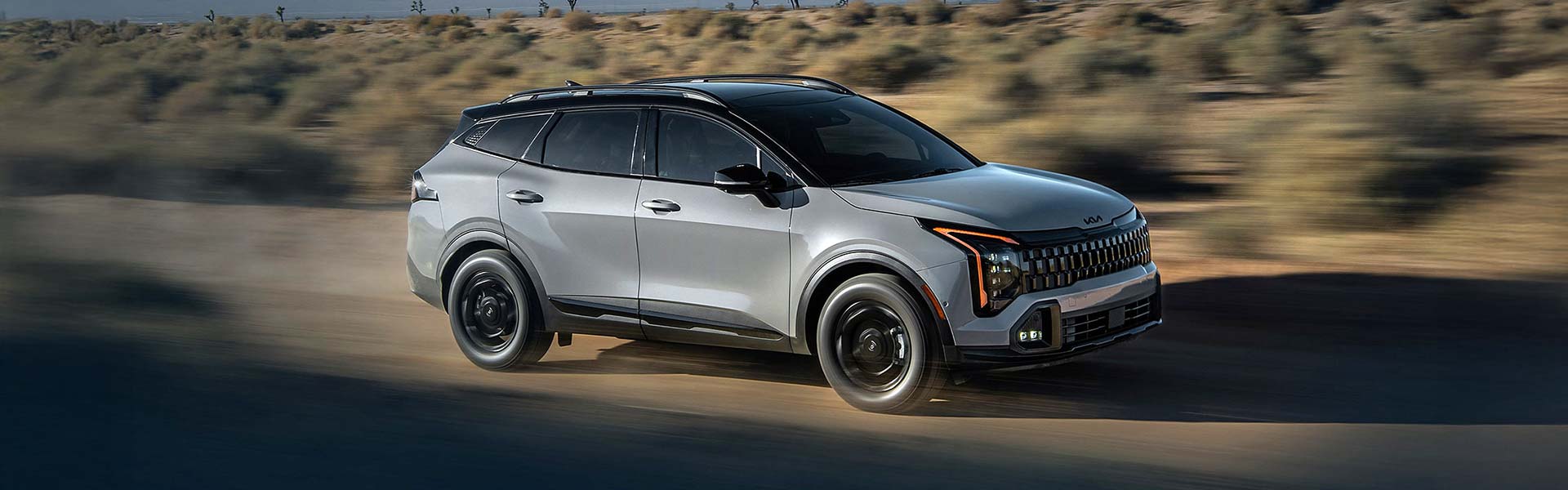 Silver crossover with black roof and wheel arches, driving through a desert landscape with blurred background.